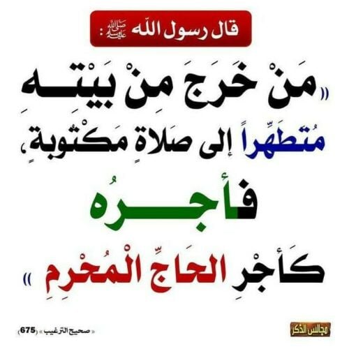 مدرس لغة عربية متخصص وقرآن كريم