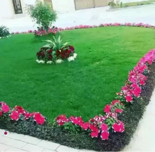 منسق حدائق