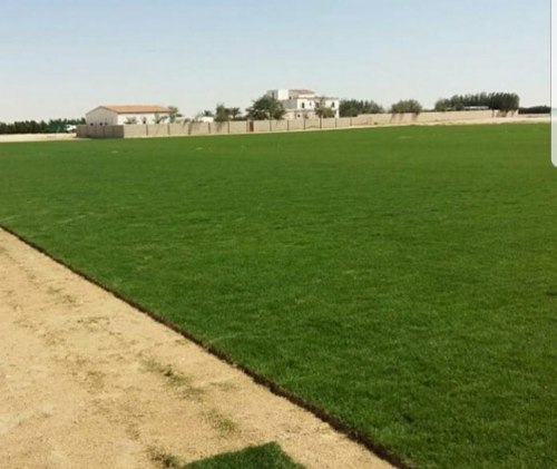 عمل الديكورات 55504810