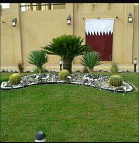 نوافير.  55079950