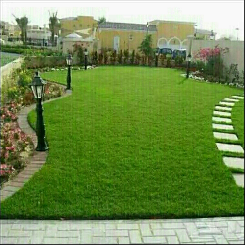 متخصص في الزراعه والديكور