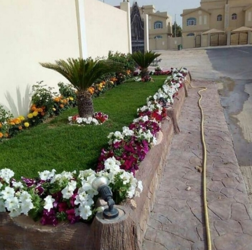 منسق ومصمم حدائق