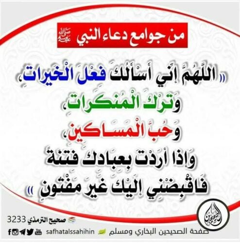 مدرس لغة عربية خبير