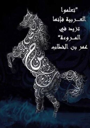 مدرس لغة عربية وشرعية متخصص