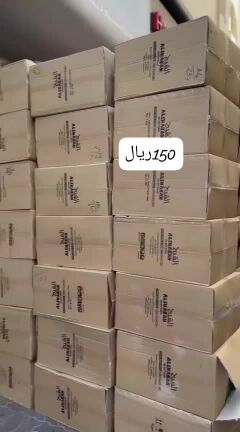 صاعق الحشرات النامس الشبح