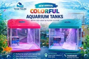 Tank tales aquatic and Trading