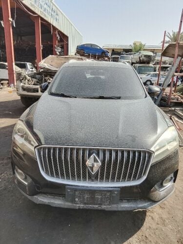 BORGWARD EX7 2020