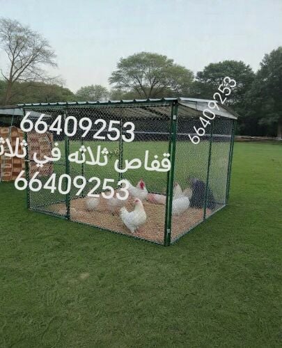 قفاص حمام