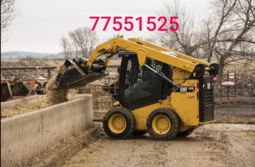 skid loader bobcat 77551525 rent