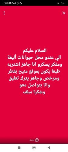 مطلوب محل حيوانات أليفة ومستلزمات