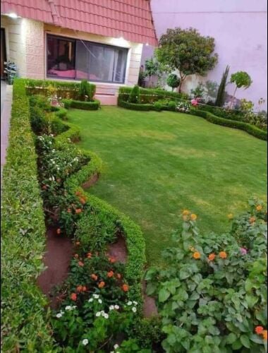 صيانه الحدائق