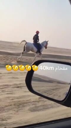 رعد