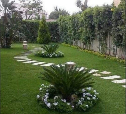 زراعه الحدائق وأحواض الزرع 