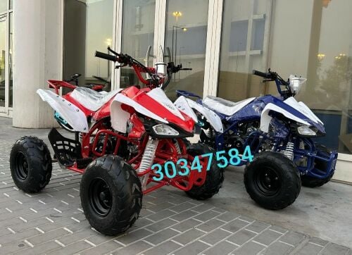 بطبطه ١٢٥ سيسي