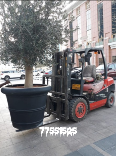 available forklift rent 77551525
