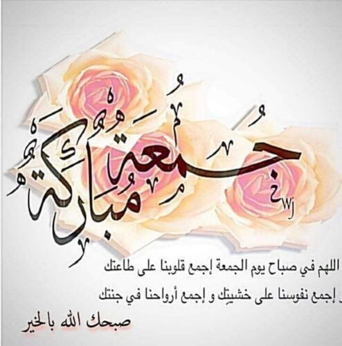 مطلوب سيارة قسط