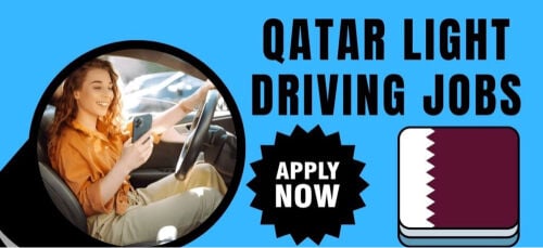 Need Driver With Own Car