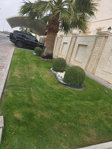 تنسيق حدائق