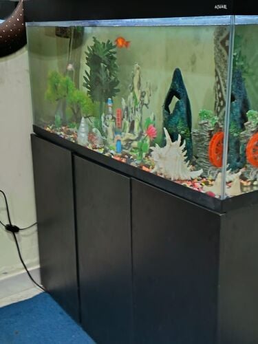 حوض أسماك كبير مع الكابينت و الفل