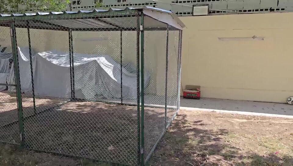 3/3  Cage