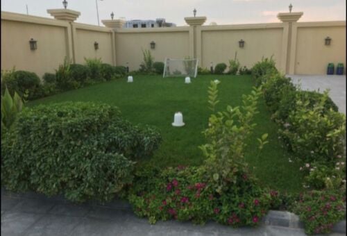 صيانة وترتيب الحدائق