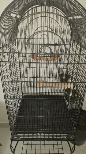 Large Premium Bird Cage