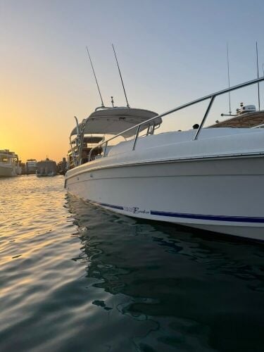 Weave Breaker 36 ft (700 hp)