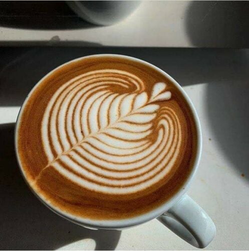 Barista