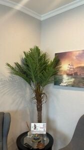 أشجار زينة فاخرة