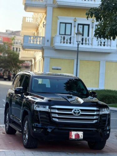 vip limousine 
