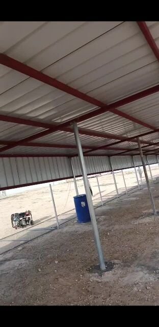 Mujalla camel new setting.