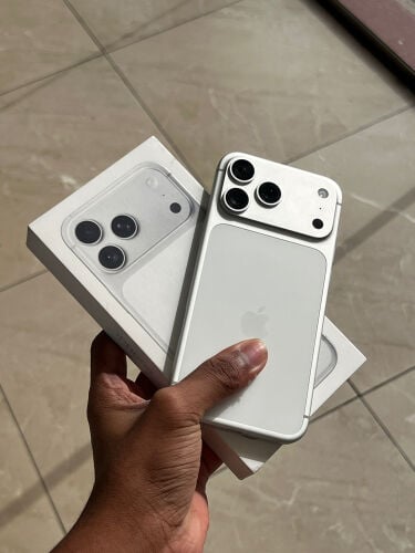 17promaxx 256gb silver arobic 