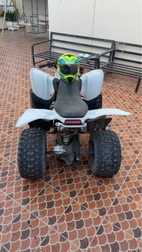 للبيع كوبرا 220 الوصف ضروري 