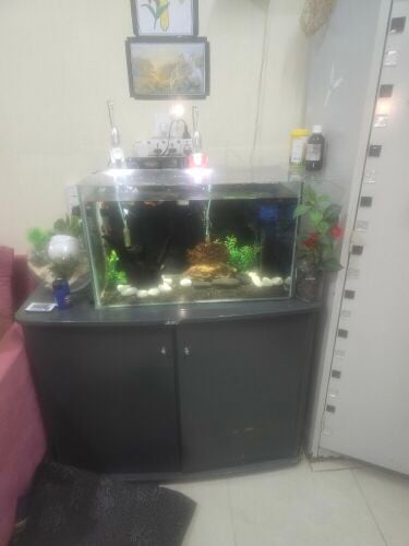 حوض سمك للبي او للبدل بكنيور اليف