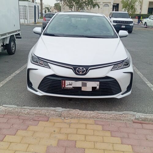 سوداني 51060444