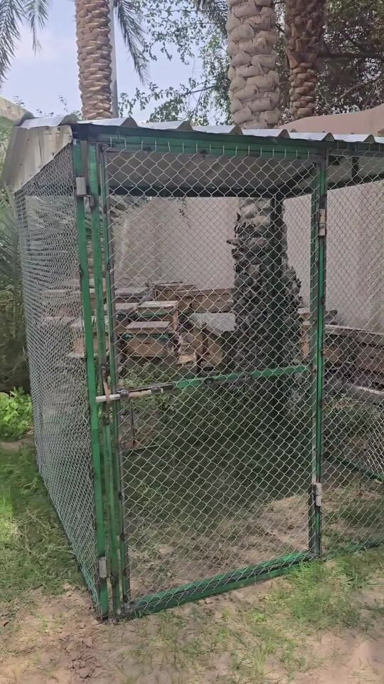 chicken coop 2/2