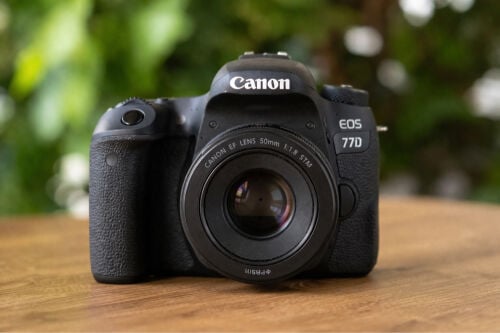 canon 77d with 50mm