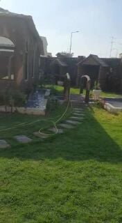 زراعه وسينه شهريه