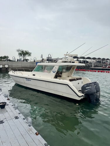 gulfcraft 35ft twin Yamaha 250