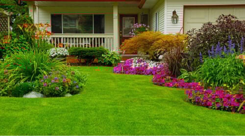 landscaping and gardening 