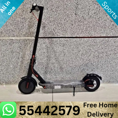Electric Scooter 36 volt