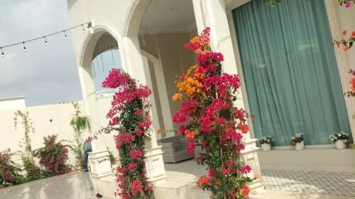 منسق حدائق جميله   55079950