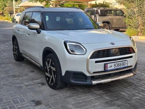 mini countryman s