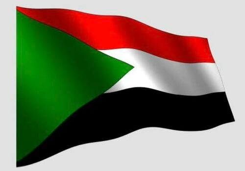 أرغب في العمل لمؤسساتكم العريقه