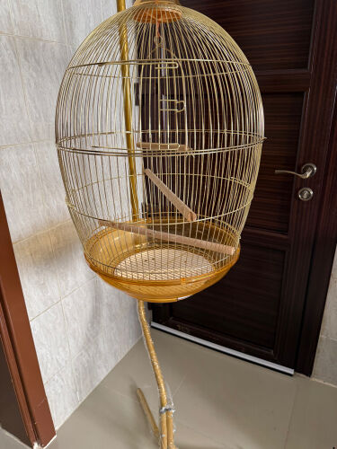 bird cage 