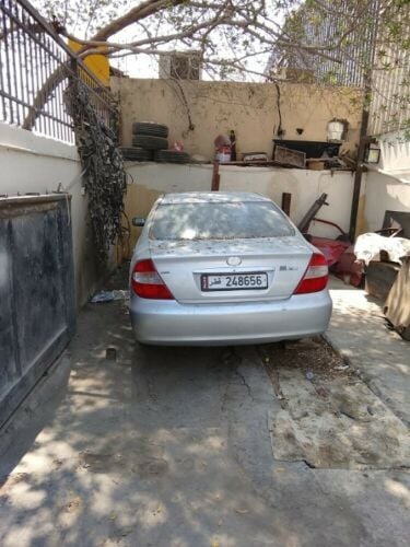 يوجد فقط الجير