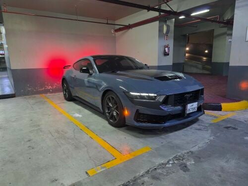 Mustang Dark Horse Perf +Warranty