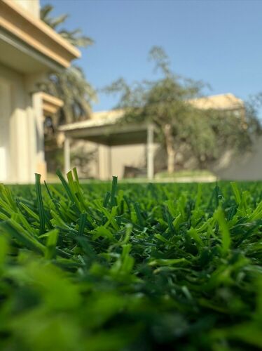ARTIFICIAL GRASS CARPET