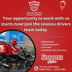 We are hiring drivers with car.