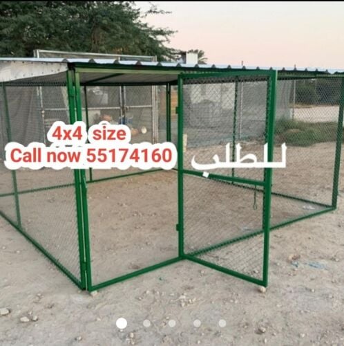 قن الحمام والدجاج